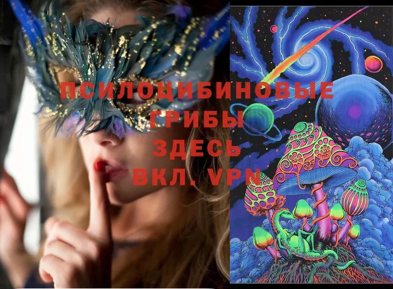 купить закладку  Тюмень  Псилоцибиновые грибы MAGIC MUSHROOMS 